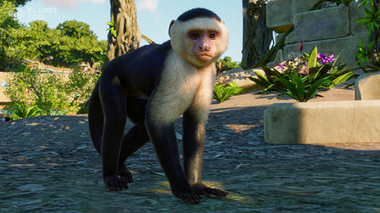 Planet Zoo: South America Pack Steam Key Global