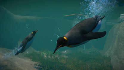 Planet Zoo: Aquatic Pack Steam Key Global