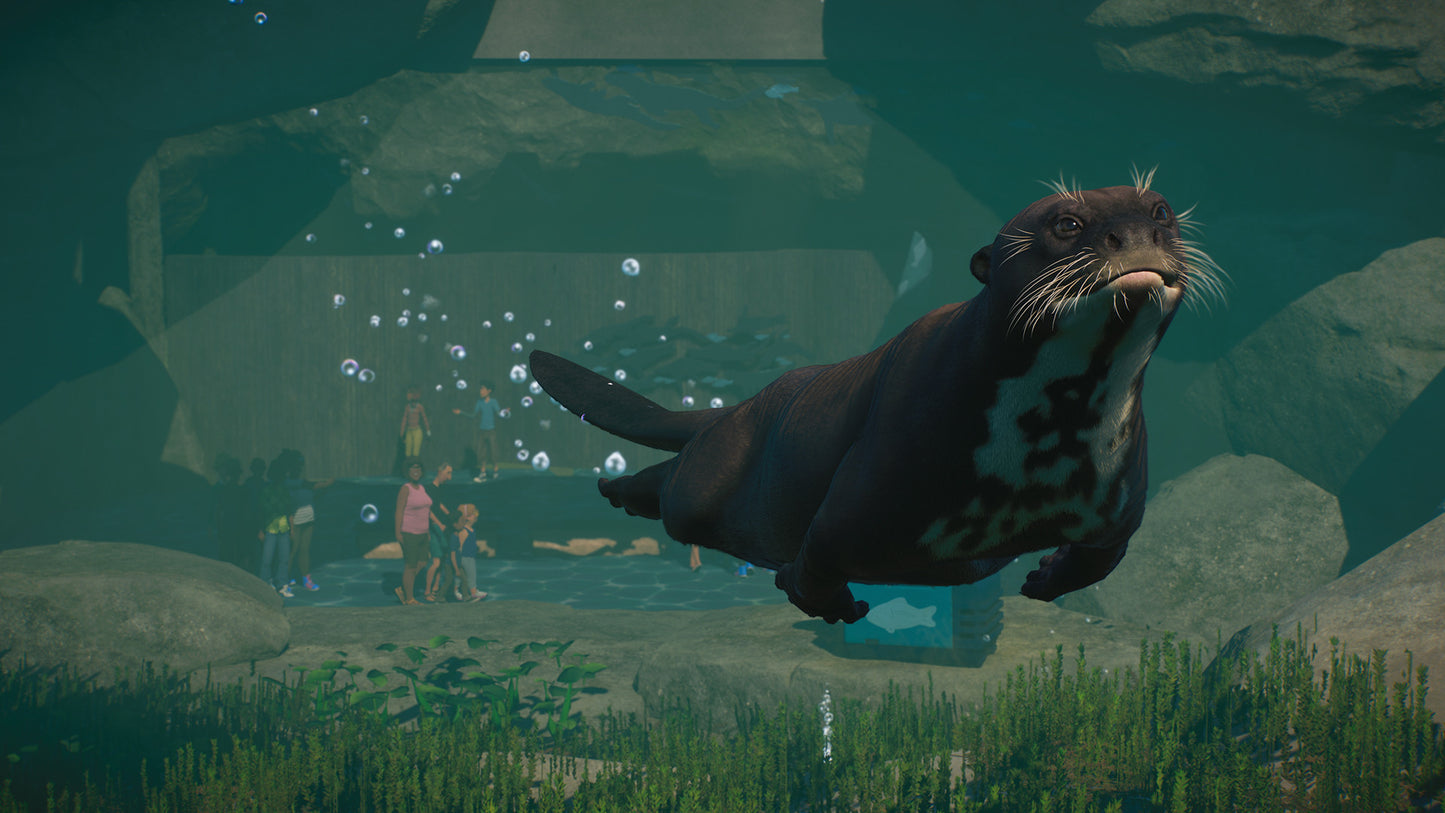 Planet Zoo: Aquatic Pack Steam Key Global