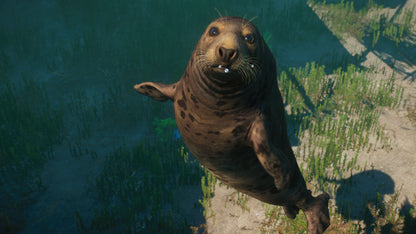 Planet Zoo: Aquatic Pack Steam Key Global