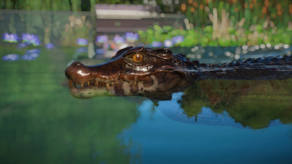 Planet Zoo: Aquatic Pack Steam Key Global