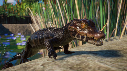 Planet Zoo: Aquatic Pack Steam Key Global