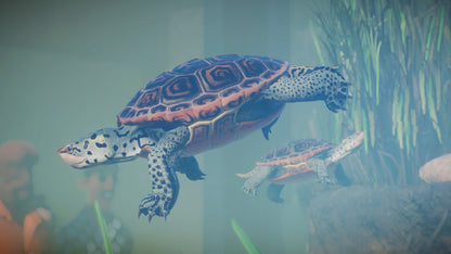 Planet Zoo: Aquatic Pack Steam Key Global