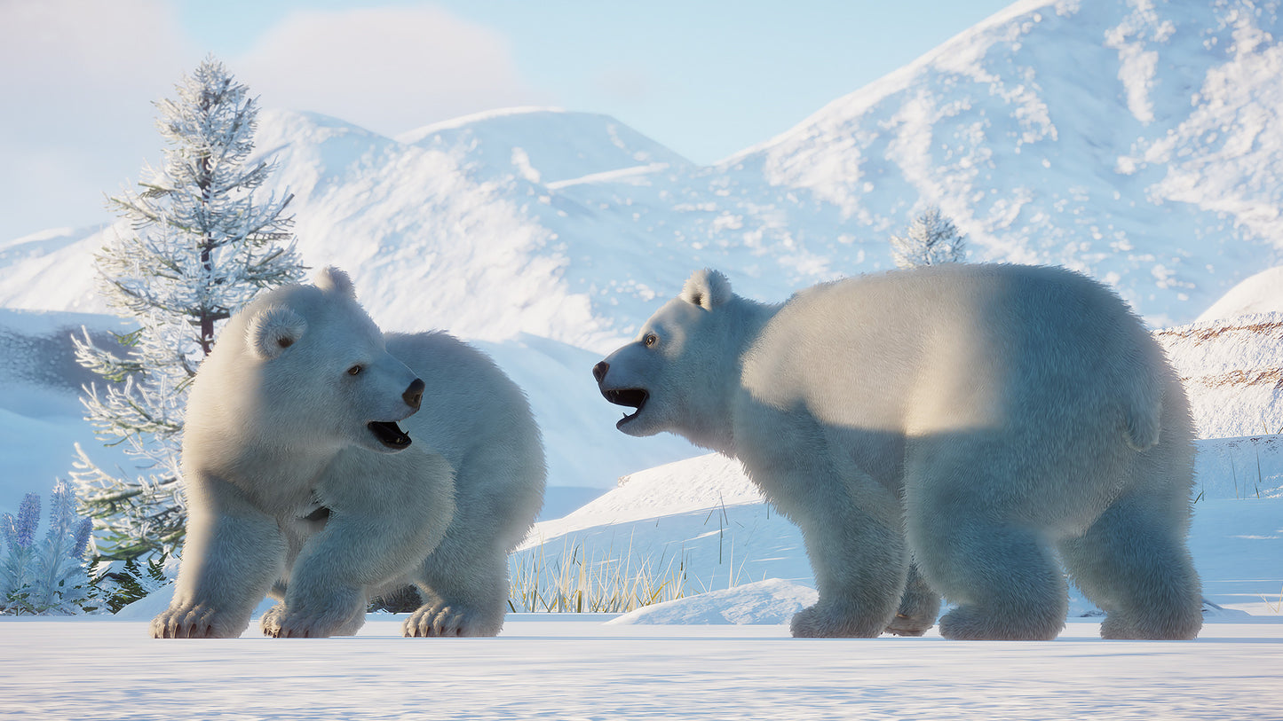 Planet Zoo: Arctic Pack Steam Key Global