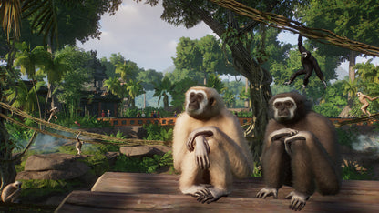 Planet Zoo: Tropical Pack Steam Key Global