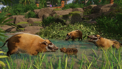 Planet Zoo: Tropical Pack Steam Key Global