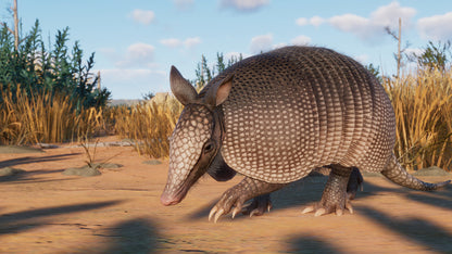 Planet Zoo: Grasslands Animal Pack Steam Key Global