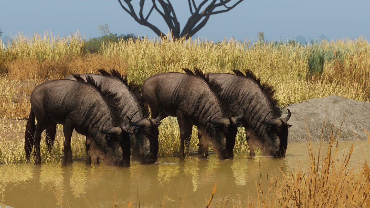 Planet Zoo: Grasslands Animal Pack Steam Key Global