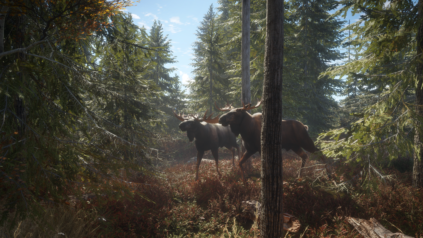 theHunter: Call of the Wild™ Steam Key Global