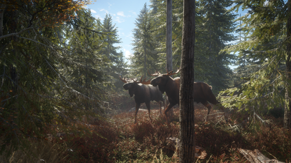 theHunter: Call of the Wild™ Steam Key Global